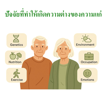 ปัจจัยต่อความต่างของความแก่ FactorInfluentAgingDifference 450x450 ปัจจัยต่อความต่างของความแก่