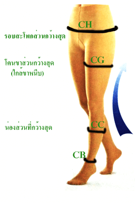 measurestock4 ถุงน่องสำหรับผู้มีภาวะเส้นเลือดขอดจ๊อปชนิดบาง  (JOBST Ultrasheer)