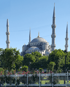 Turkis blue mosque1 250x300 พาผู้ใหญ่นั่งรถเข็นเดินทาง ใช้ไม้เท้า เที่ยวตุรกี