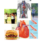cardiovasculardisease2 บทความสุขภาพ และสาระเกี่ยวกับเครื่องมือแพทย์และอุปกรณ์การแพทย์